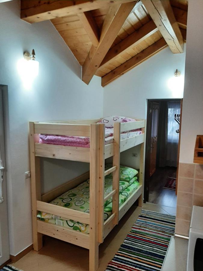 Apartamento Casuta Pietrosul Rodnei Borşa Exterior foto
